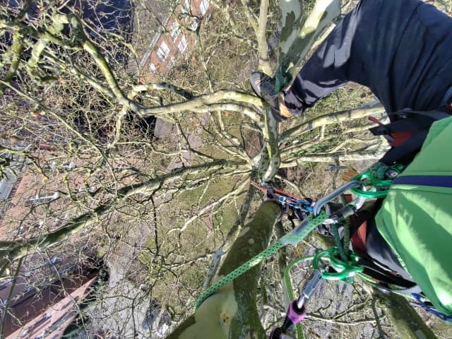 Seilklettertechnik Einsatz